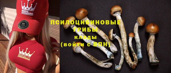 а пвп мука Каменка