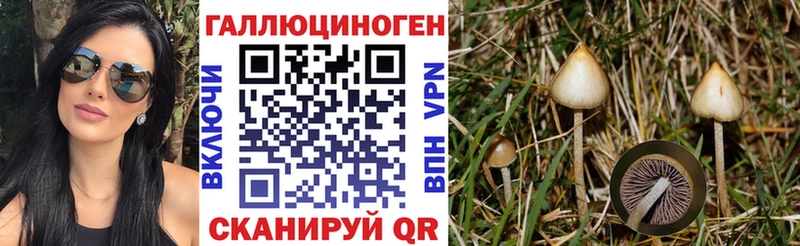 Псилоцибиновые грибы Magic Shrooms  Купить закладки  Красновишерск 